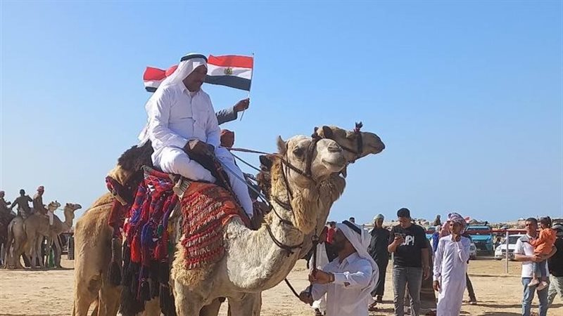 المهرجان العربي للهجن،
