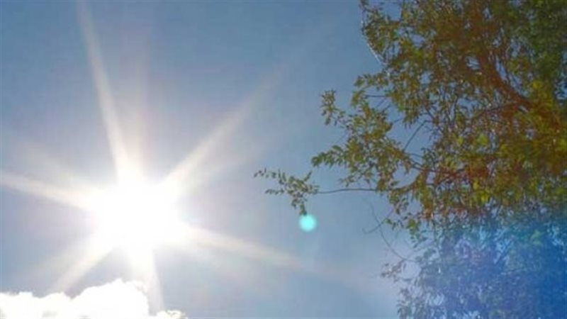 حالة الطقس غدا، فيتو