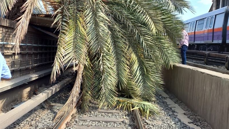 سقوط شجرة بمترو انفاق