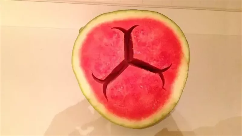 البطيخ الأجوف، فيتو