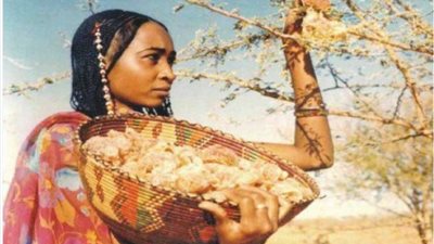 بعدما هدد الصمغ العربي صناعة المشروبات الغازية، تعرف على ثروات السودان الطبيعية 