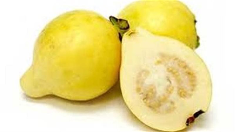 فوائد الجوافة، فيتو