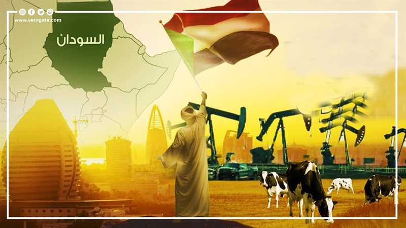 ثروات السودان، فيتو