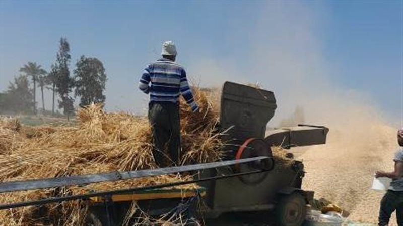 الشرقية تتصدر محافظات