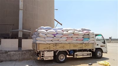 التموين: توريد 800 آلف طن قمح في الموسم الجديد حتى الآن