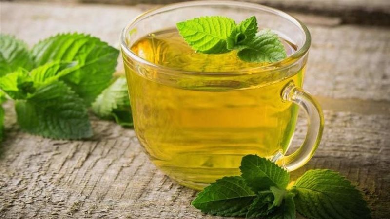 فوائد النعناع المغلي،