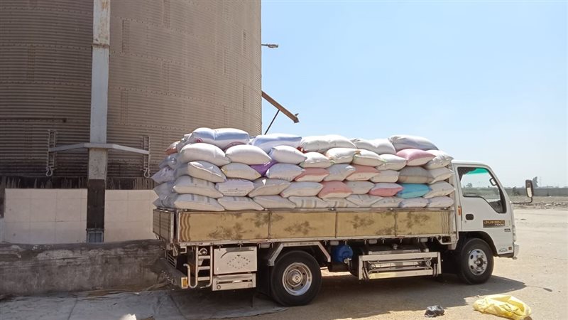 توريد القمح بصومعه