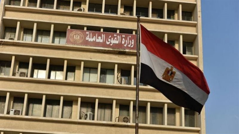 وزارة القوى العاملة،فيتو