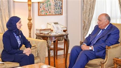 سفير مملكة البحرين لدى مصر تقدم نسخة من أوراق اعتمادها إلى سامح شكري 