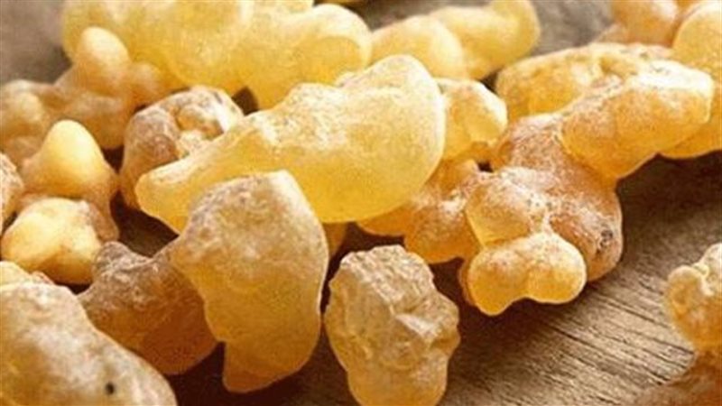 فوائد اللبان الذكر،