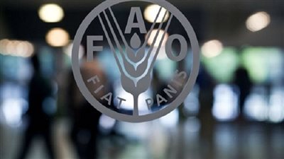 أسعار الغذاء العالمية تواصل تراجعها للشهر الثاني بدعم من وفرة المعروض 