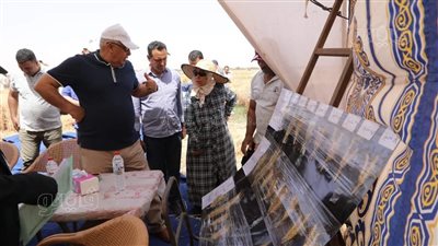 محافظ الوادي الجديد يشهد حصاد مزرعة تقييم بحثي لسلالات القمح بالداخلة (صور)