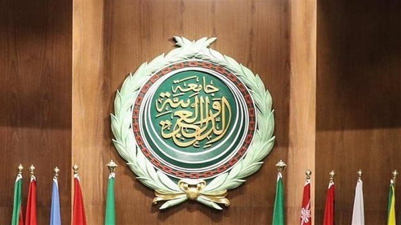 الجامعة العربية،فيتو