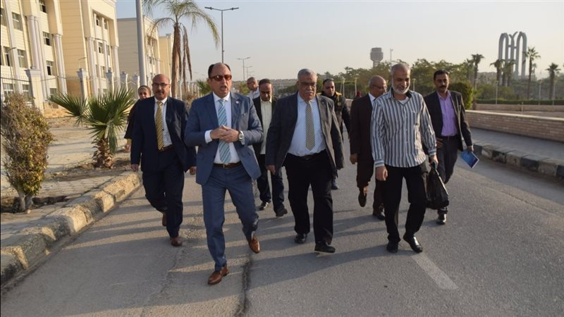 الدكتور السيد قنديل