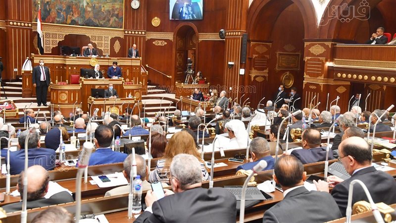 مجلس الشيوخ، فيتو