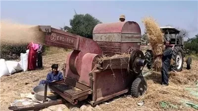 دراسة القمح تنهي حياة مزارع بالمنوفية