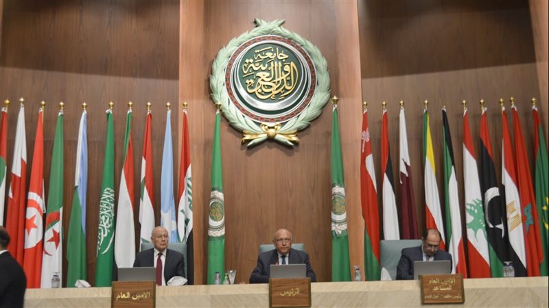 الجامعة العربية،فيتو