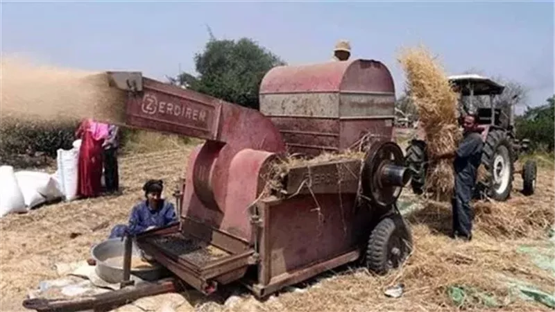 الدراسة تنهى حياة