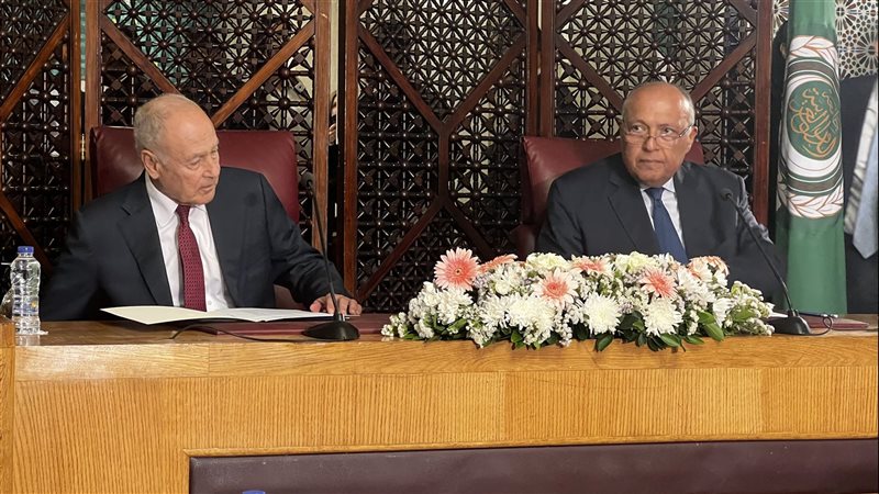 سامح شكرى وزير الخارجية،فيتو