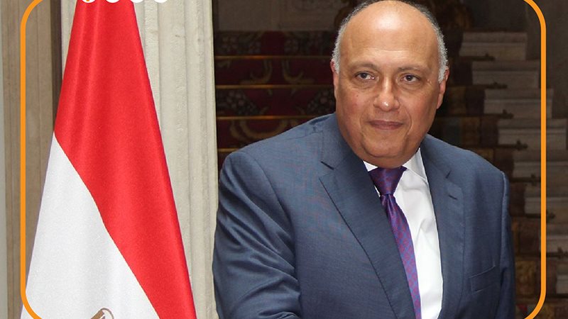 سامح شكري، فيتو