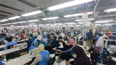 القوى العاملة تنظم مقابلات شخصية بشأن فرص عمل في الإسكندرية