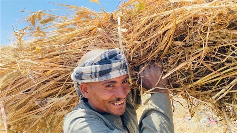 صوامع وشون الغربية