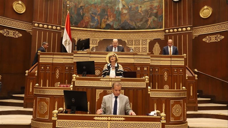 الجلسة العامة لمجلس