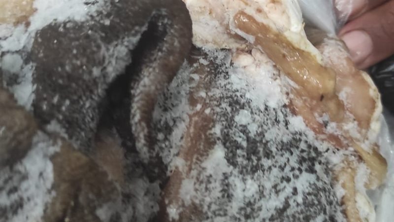 جانب من المضبوطات،