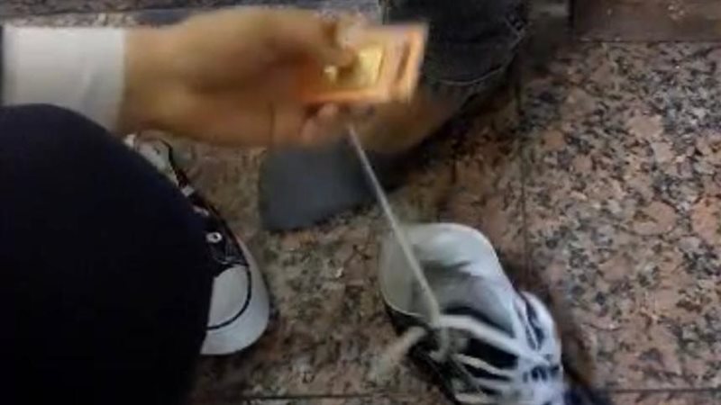 السبائك الذهبية بحوزة