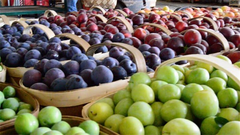 أسعار الفاكهة،فيتو