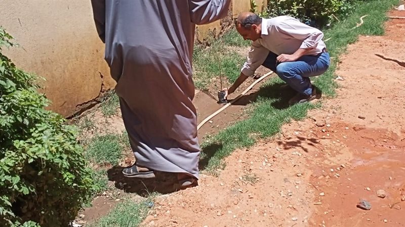 زراعة أشجار مثمرة