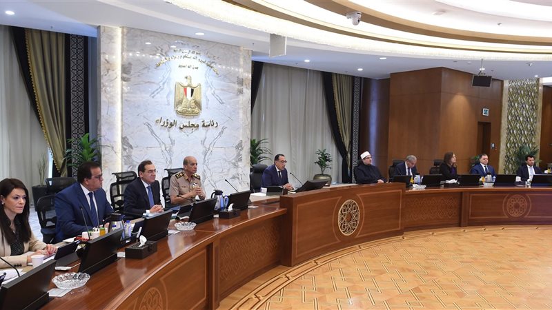 مجلس الوزراء، فيتو