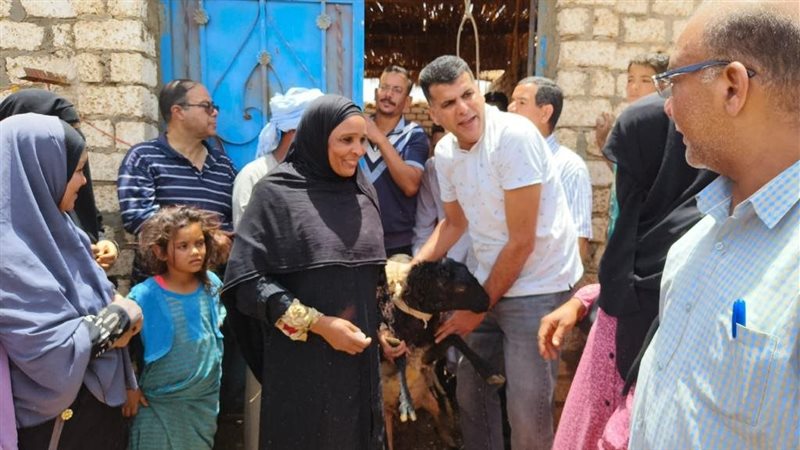 توزيع الأغنام على
