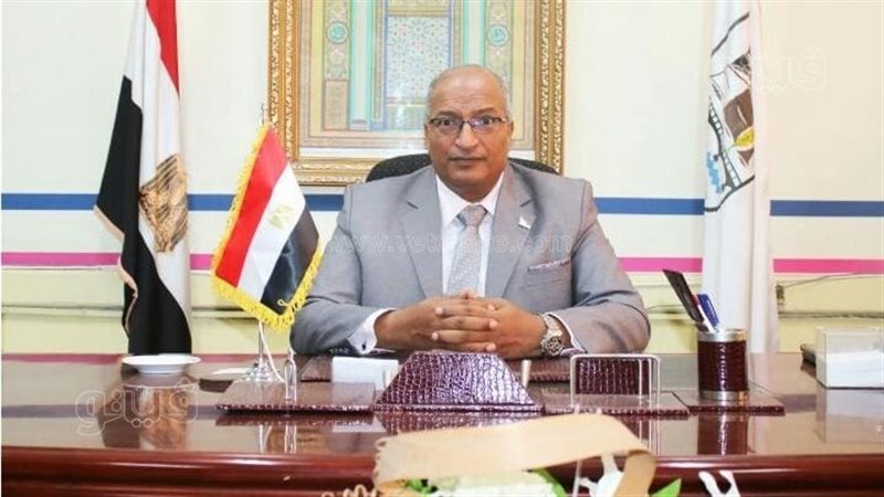 د. محمد عبدالتواب،
