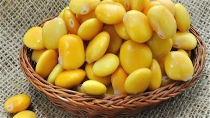 طريقة عمل الترمس،