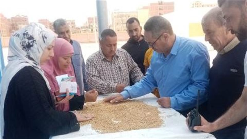 قمح الشرقية:توريد