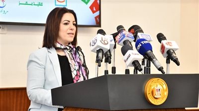 التخطيط تستعرض منظومة البنية المعلوماتية في مصر 