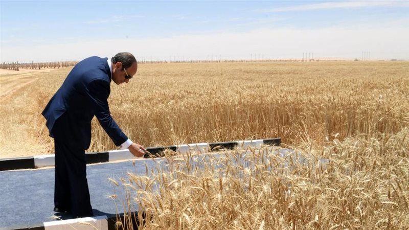 الرئيس عبد الفتاح