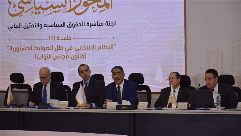 ضياء رشوان، فيتو