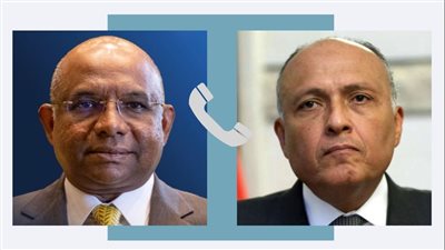 وزير الخارجية يناقش نظيره المالديفي أبرز ملفات العلاقات الثنائية