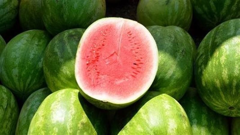 الحكومة تنفى انتشار