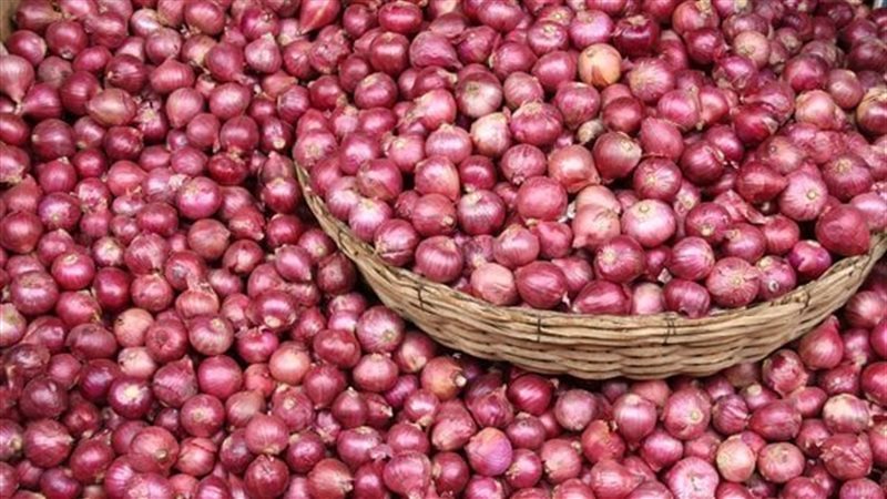 أسعار البصل في الأسواق،