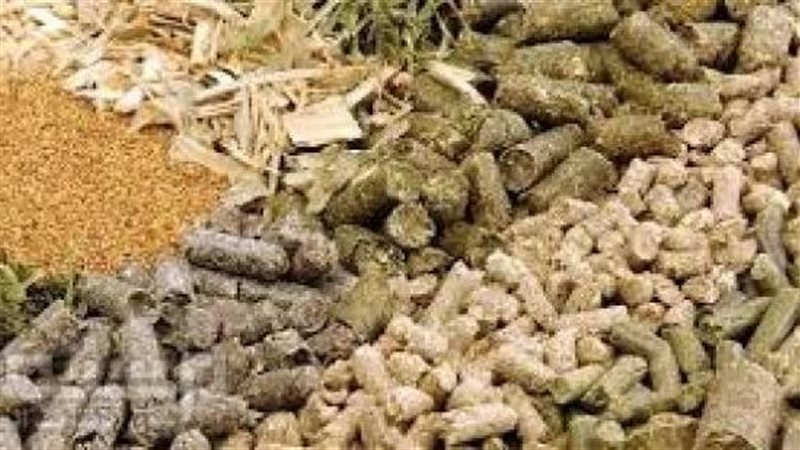 أسعار الأعلاف والحبوب