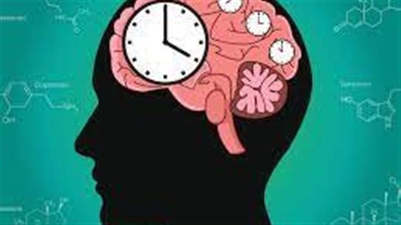  الساعة البيولوجية،