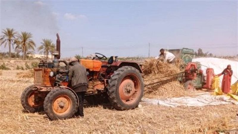 توريد 437 الف طن