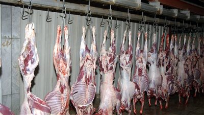 اللحوم تكسر حاجز الـ300 جنيه بالإسماعيلية، والأضاحي لمن استطاع إليها سبيلا 