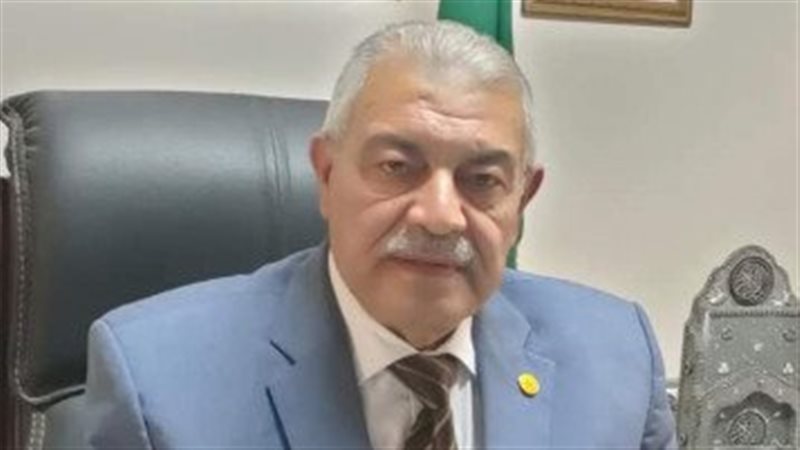 على الصناديلى رئيس