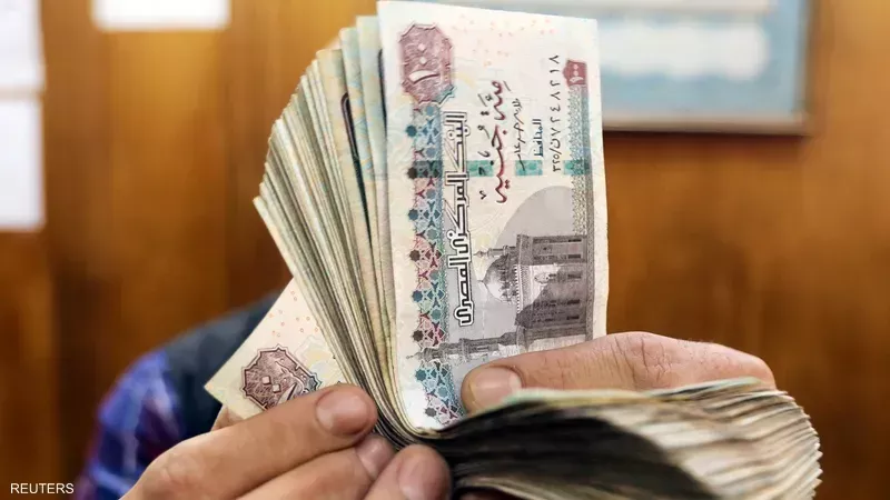نسبة مساهمة القطاعات