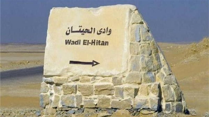 وادي الحيتان بالفيوم،فيتو