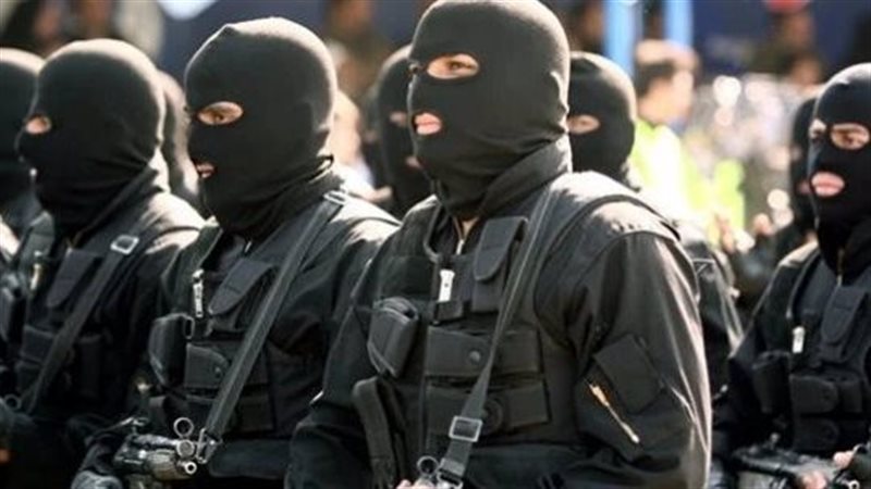 قوات الأمن الإيرانية،